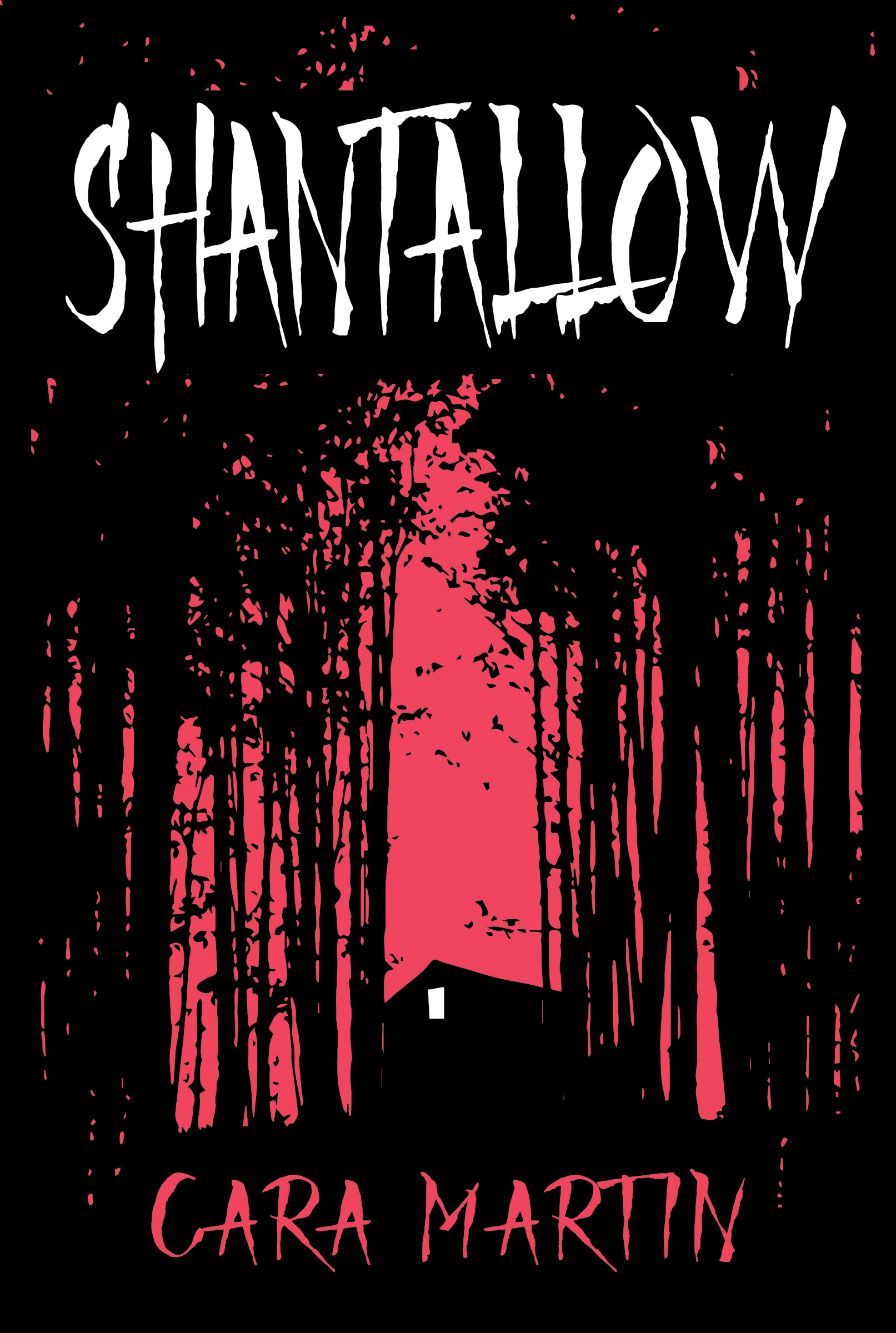 Shantallow by Cara Martin