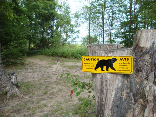 Beausoleil Island: Caution - bears in area. Travel with caution.