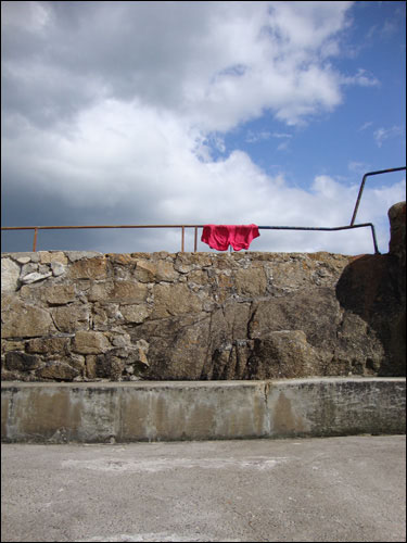 the Forty Foot, Sandycove