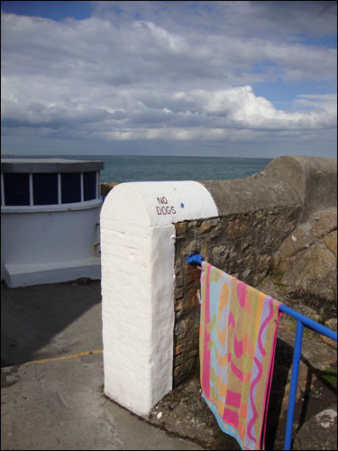the Forty Foot, Sandycove