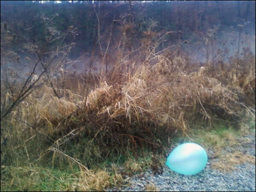 balloon down by the river, January 1, 2011