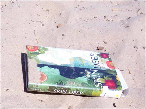 Skin Deep by E.M. Crane on the beach, July 5, 2008
