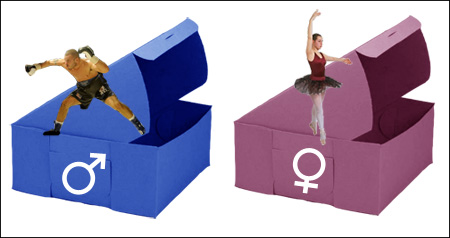 Pink Box/Blue Box: Gender Expectations