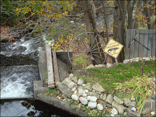 Danger Crocodiles. No swimming.