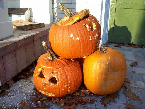 GTA Pumpkins, Nov 8, 2009