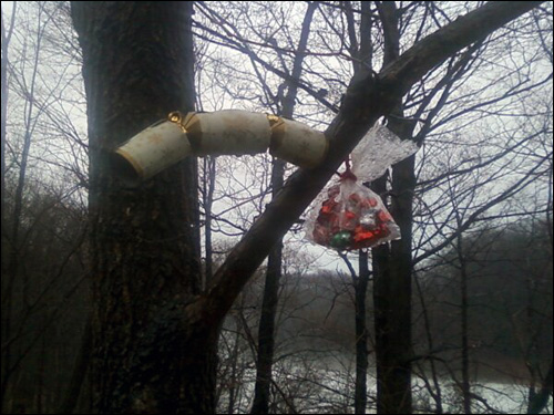 N ew Year's goodies left in the trees on January 1st, 2011