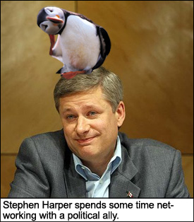 Stephen Harper and political ally, the puffin.