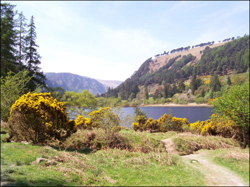 Glendalough, Wicklow, May, 2008