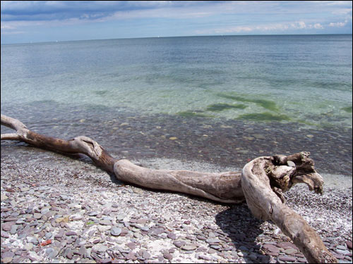 Lake Ontario vista
