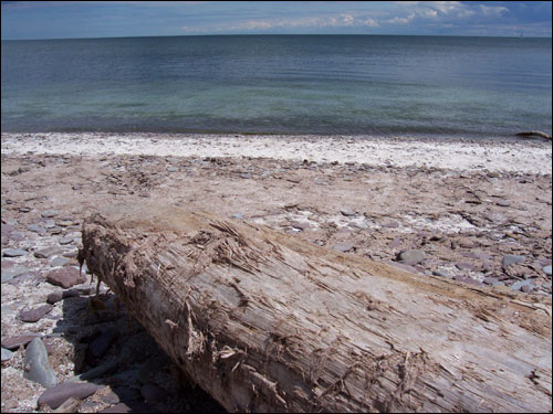 Lake Ontario vista