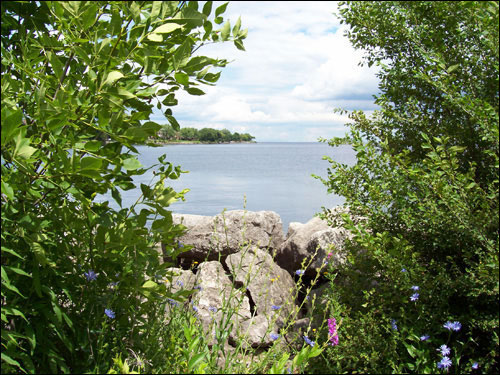 Lake Ontario vista
