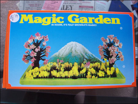 Magic Garden