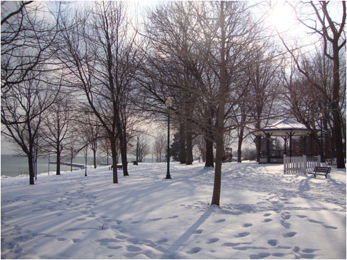 The Homecoming Trail,. Oakville, February 14, 2014