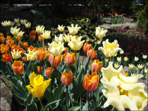 Royal Botanical Gardens, May 5, 2012