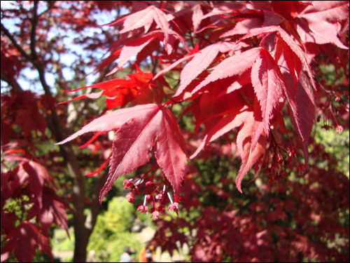 Royal Botanical Gardens, May 5, 2012