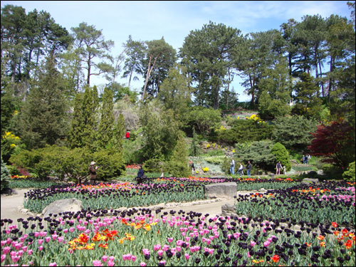 Royal Botanical Gardens, May 5, 2012