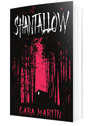 Shantallow paperback