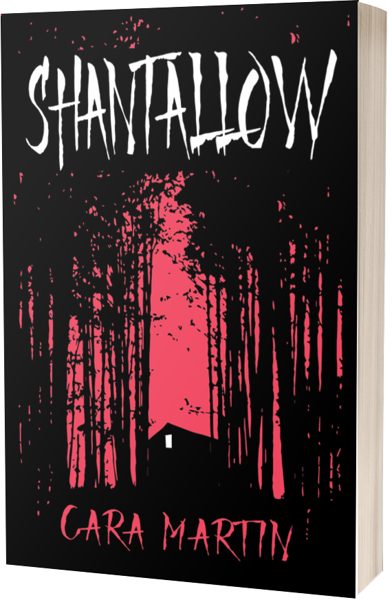 Shantallow cover