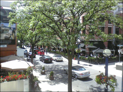 Sunny Yorkville, June 20th