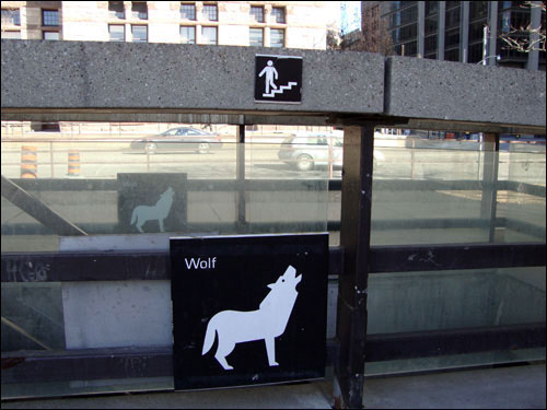 Nathan Phillips Square wolf sign