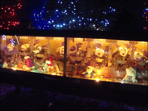 The Singleton's Christmas Lights Display 2011